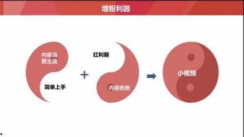 微头条围绕什么话题发布,揭秘热门话题背后的社会现象