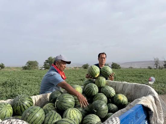 冠县三姐吃瓜,揭秘农村生活的酸甜苦辣