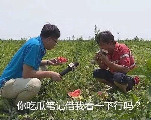 吃瓜.jpg,网络热议背后的真相与反思