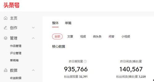 头条收入的钱在哪看,如何查看您的广告收益去向