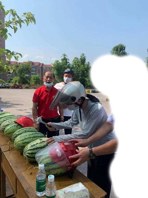 盐山吃瓜事件真相,真相与反思