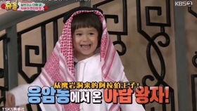 鹰岩洞明星,明星洞穴的神秘魅力探索之旅