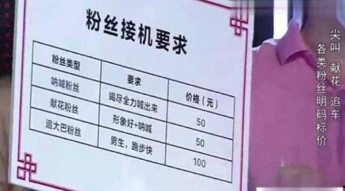 明星都是表 txt,揭秘明星背后的故事