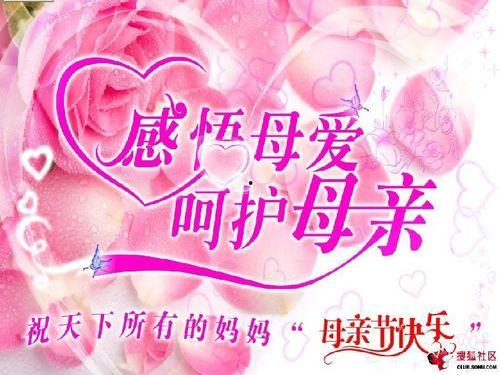 情感篇蝴蝶发微头条,探寻心灵深处的美丽瞬间