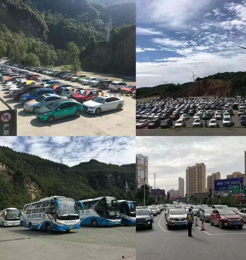 夷陵网红村,探寻乡村振兴的美丽画卷”