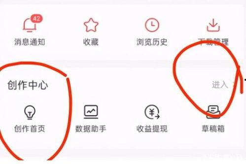 东莞头条怎么开通权益