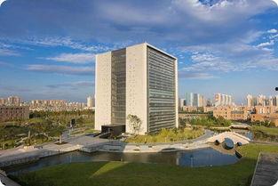 华科同济吃瓜,一场吃瓜盛宴背后的故事